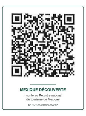 Registre national du tourisme du Mexique — N° RNT-26-QROO-004687