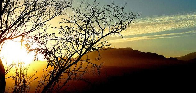 Basse Californie Sierra Laguna Mexique