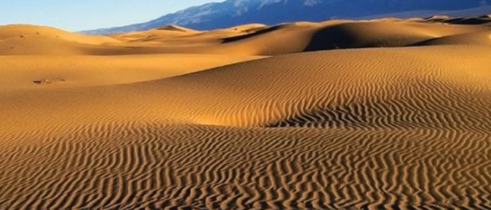 Désert Sonora Dunes Samalayuc Juarez Chihuahua Mexique