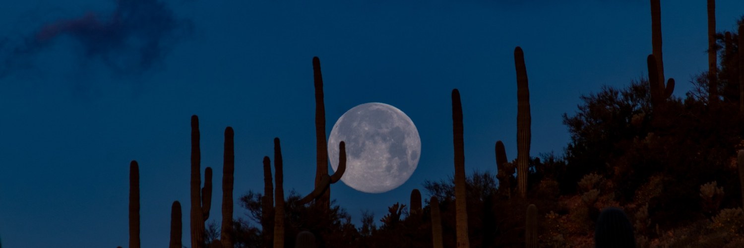 equinox_lune_nuit_desert_cactus