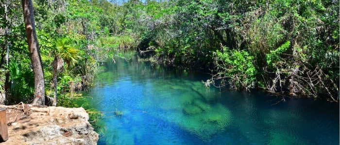 Cenote escondido Mexique Découverte