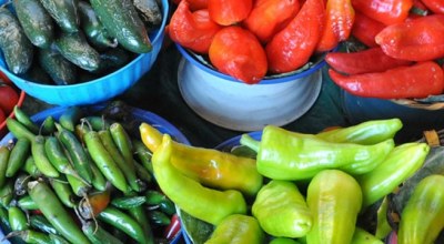 Festival que gusto Mexique