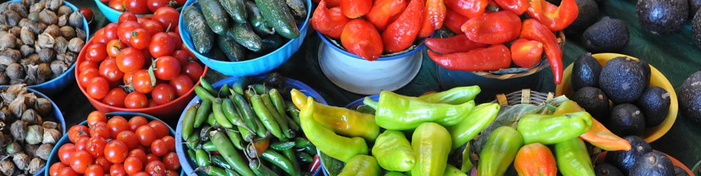Festival que gusto Mexique