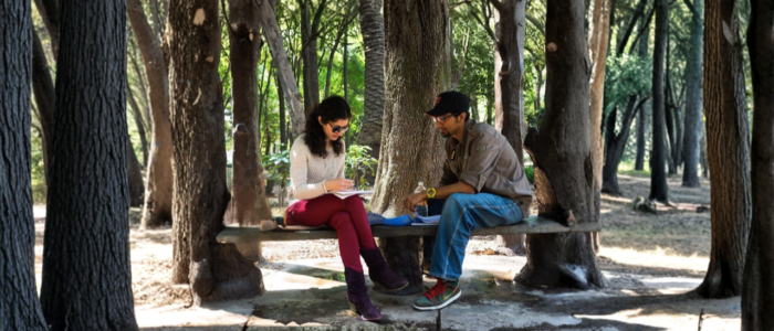 Mexico Mexique parc Mexico5