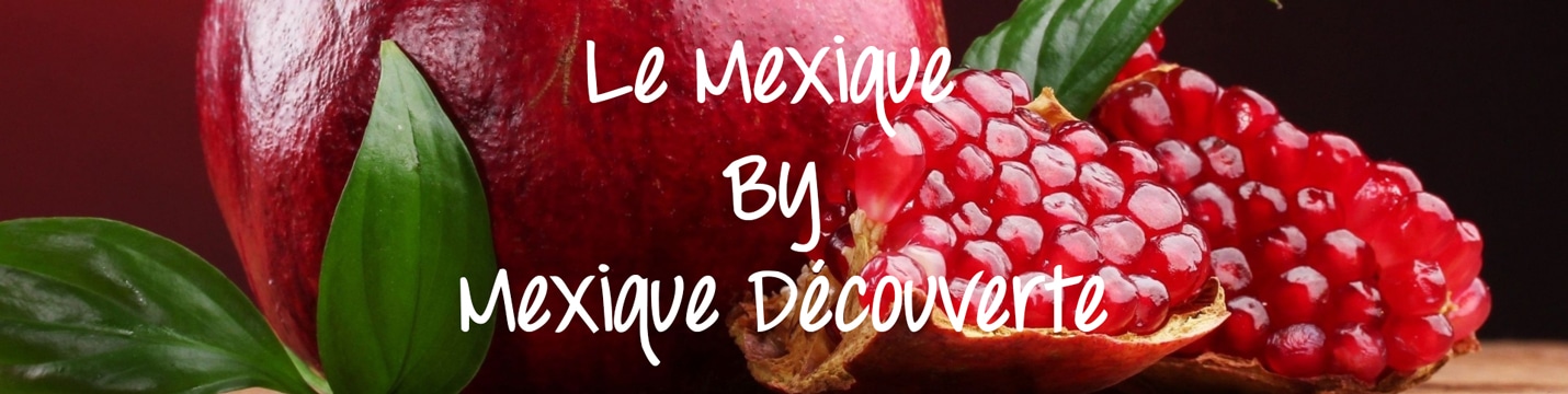 Le Mexique by Mexique Découverte