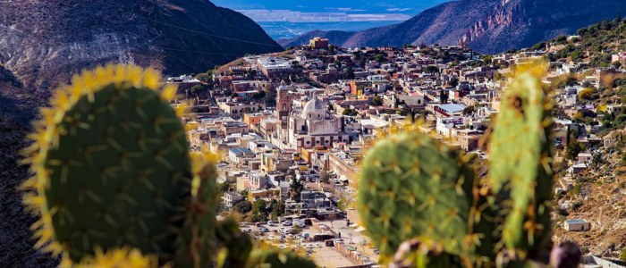 Real de Catorce Mexique cactus