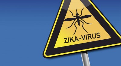 virus_zika_moustique