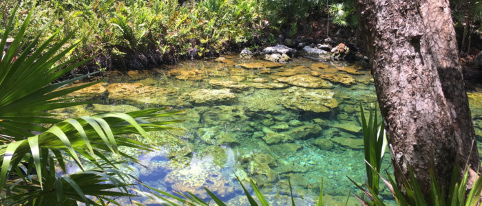 cenote tankah mexique decouverte