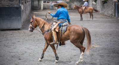 Charreria Equitation Rodeo Mexique