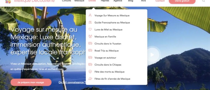 Mosaïque d’envies de voyage au Mexique par thèmes