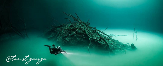 Plongée cenote Mexique Découverte