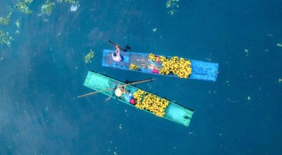 Avis voyageur avec Mexique Découverte Janine B. 
