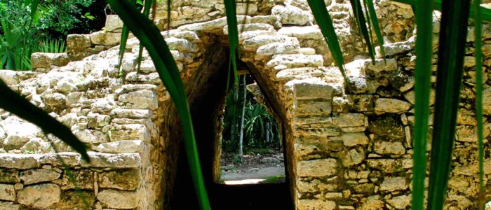 stagiaire mexique decouverte dans les ruines de coba