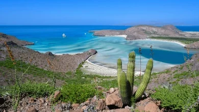 Mer Cortes iles Basse Californie Mexique