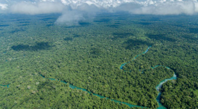 Selva tropical Chiapas Mexique