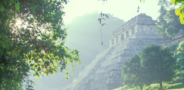 Selva tropical Palenque Chiapas Mexique