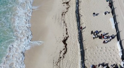 Ouragan Cancun Tortues Mexique