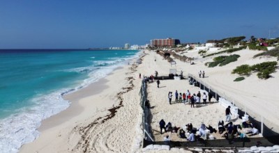 Ouragan Cancun Tortues Mexique