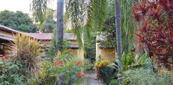 Medecine ancestrale traditionnelle Mexique jardin de plante