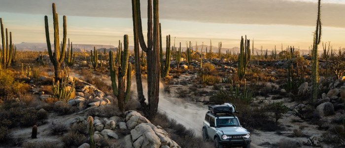 Agence réceptive Mexique Découverte véhicule BCS