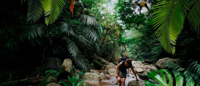 Bienfait voyage Mexique Decouverte Yucatan jungle randonnee