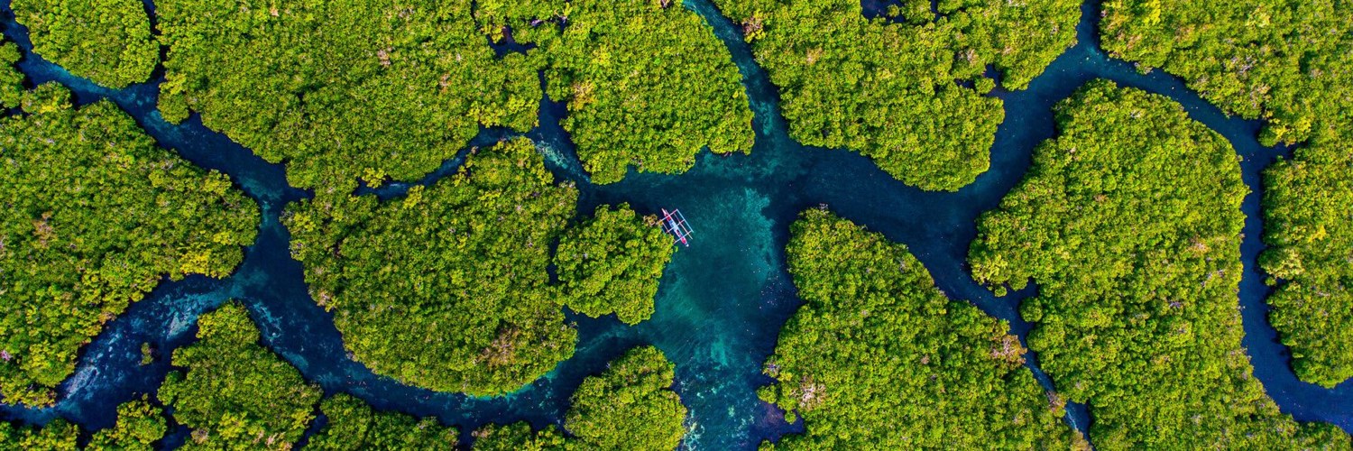 Mangrove Mexique Sian ka an