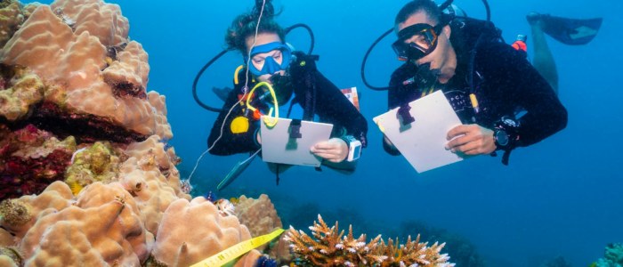 Protection biodiversite marine Mexique plongeurs sauvegarde coraux