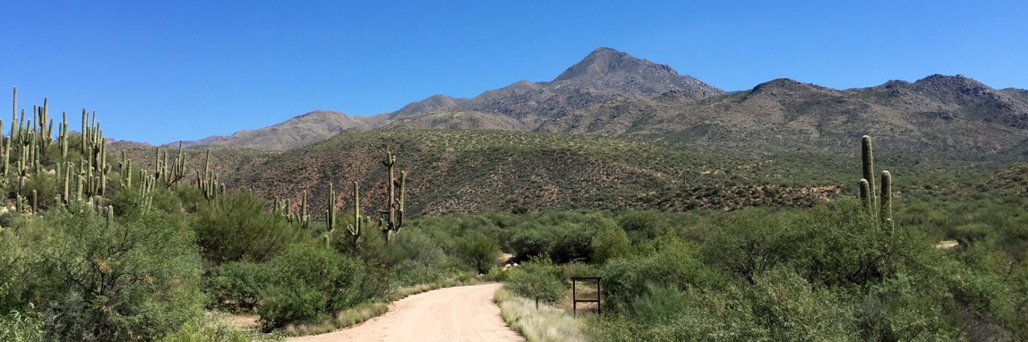 Circuit organisé sur mesure Mexique Découverte Sonora desert