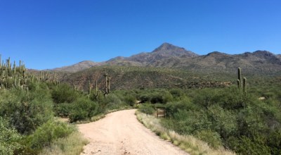 Circuit organisé sur mesure Mexique Découverte Sonora desert