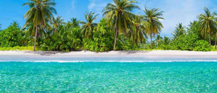 Hiver au Soleil Mexique plage Tulum