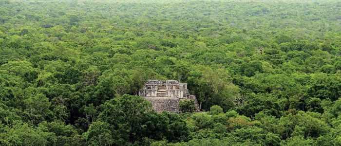 Merveille nature Mexique Découverte Jungle Calakmul