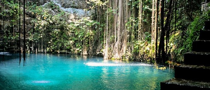 Explorez la Nature avec Mexique Découverte écologie Cenote