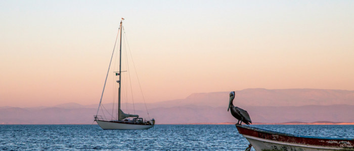 Pour le respect de la nature Mexique Découverte ne veut pas de croisières Basse Californie