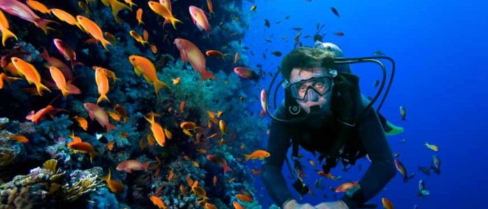 Pour le respect de la nature Mexique Découverte ne veut pas de croisières plongée Cancun