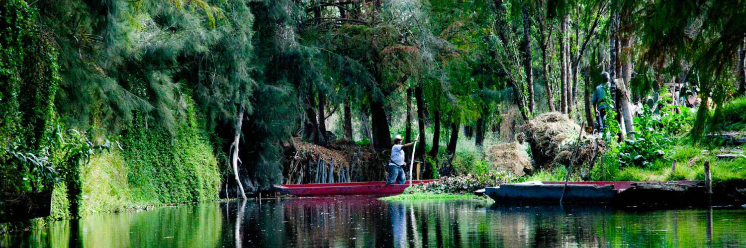 Chinampa Venise Xochimilco Mexique