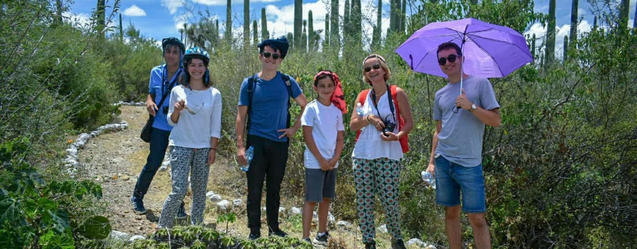 Tripadvisor award 2025 groupe de client Mexique Découverte