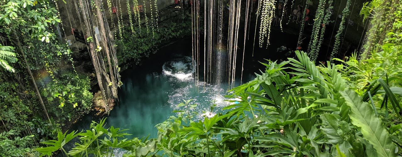 Péninsule Yucatan Mexique la beauté du cénote à l'état pur