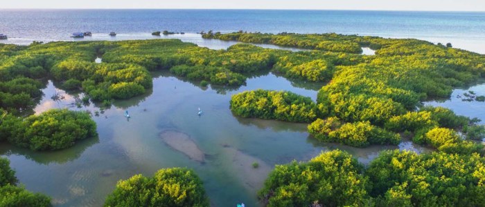 Yucatan Mexique lagune Majahual