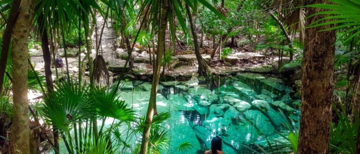 Cénote secret du Yucatán entouré de végétation luxuriante 2