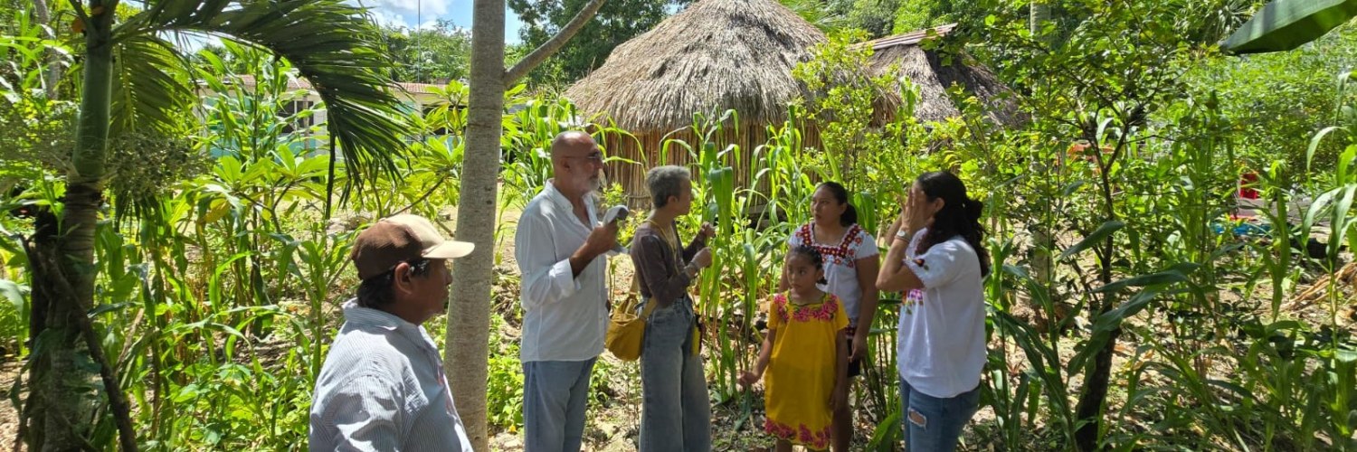 Non sens Eco tourisme Mexique Découverte.Bacalar
