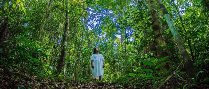 Non sens Eco tourisme Mexique Découverte.Chiapas.Lacandon