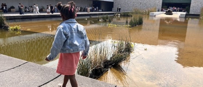 Découverte du musée d’anthropologie pour les familles et les enfants