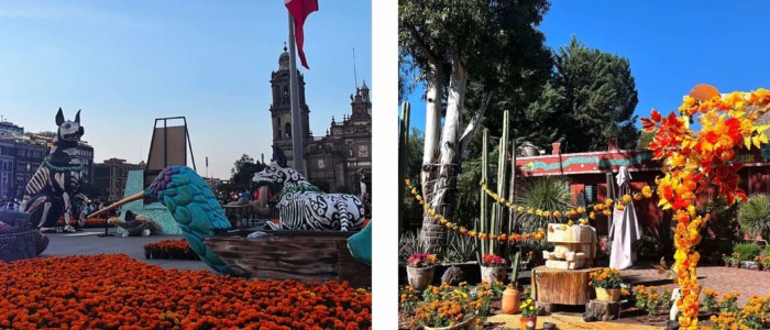 Photos site internet Mexique découverte 14