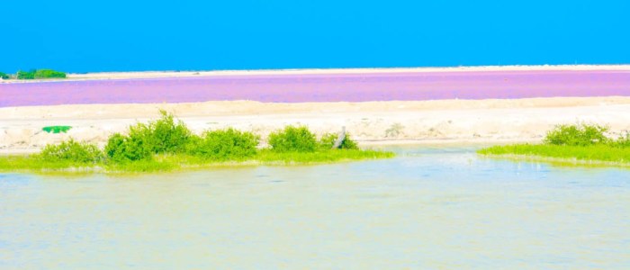 Las Coloradas Yucatan Mexique et la mer du Golfe