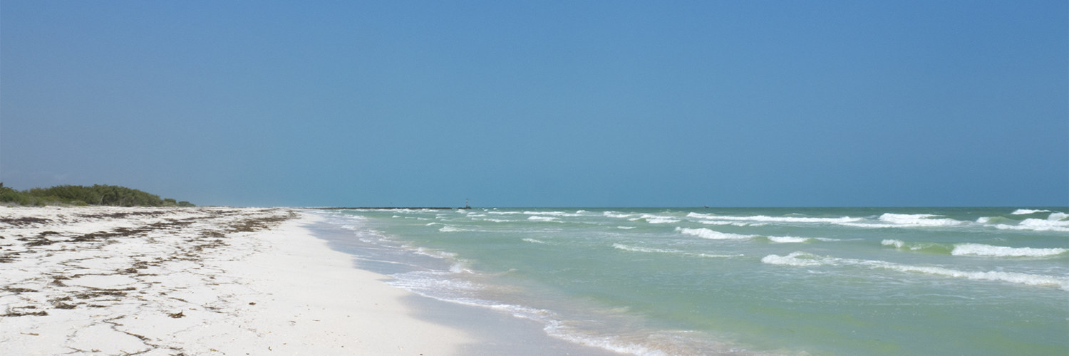Nord Yucatan El Cuyo Plage Mexique