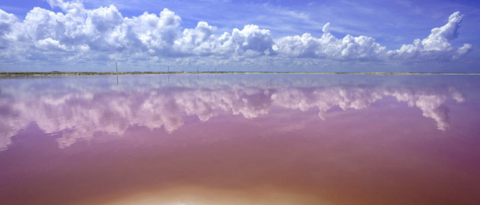 Nord Yucatan Las Coloradas Mexique