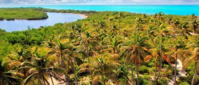 Nord Yucatan Mexique transition lagune mer