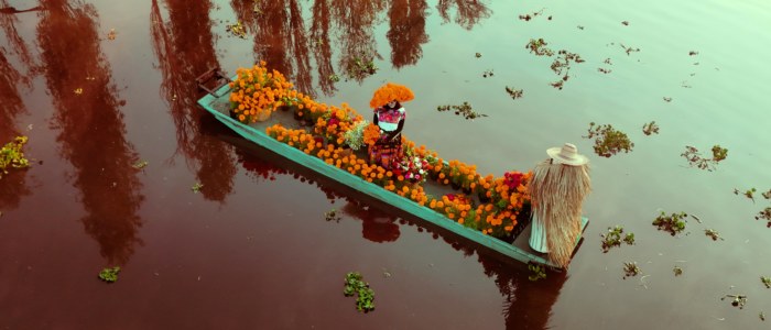 autel día de los muertos oaxaca novembre fleurs orange bougies
