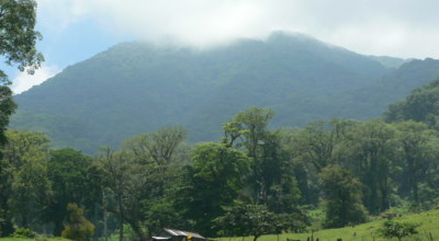 Ville de Veracrux Mexique Decouverte San Martin