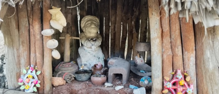 Cenote XCanché Mexique aluxe